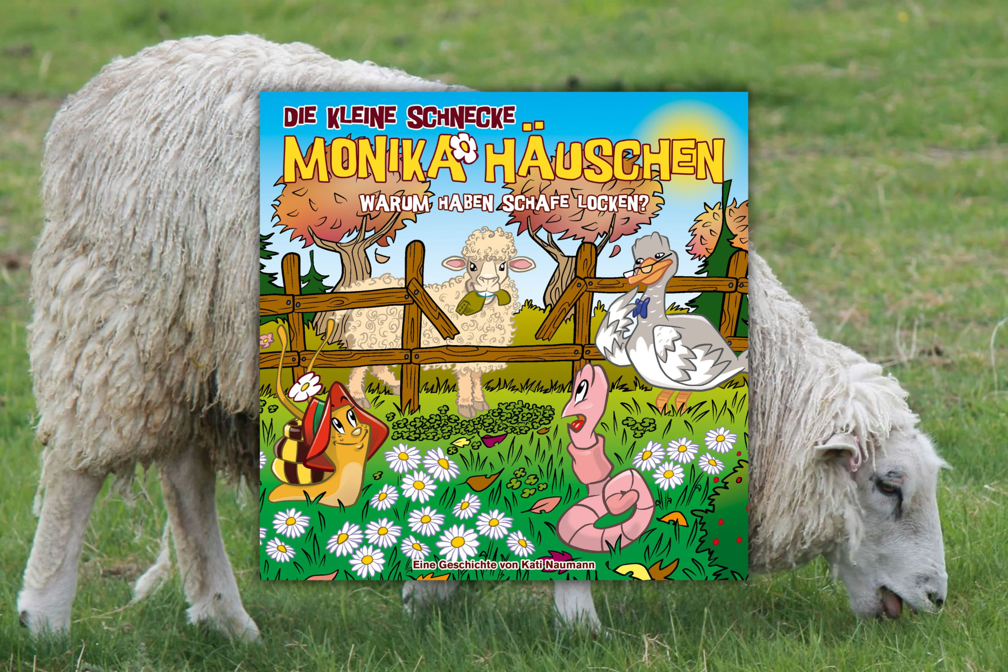 "Warum haben Schafe Locken?“: Erfahrt es in der neue Hörspielfolge von der kleinen Schnecken Monika Häuschen 