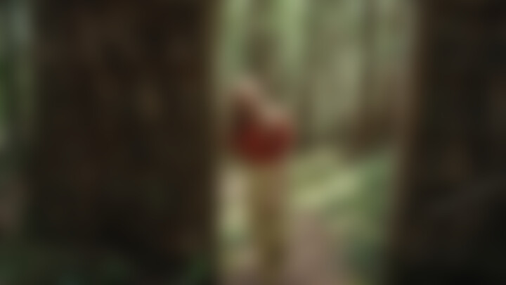 Elysia Biro - Just Wait a Minute