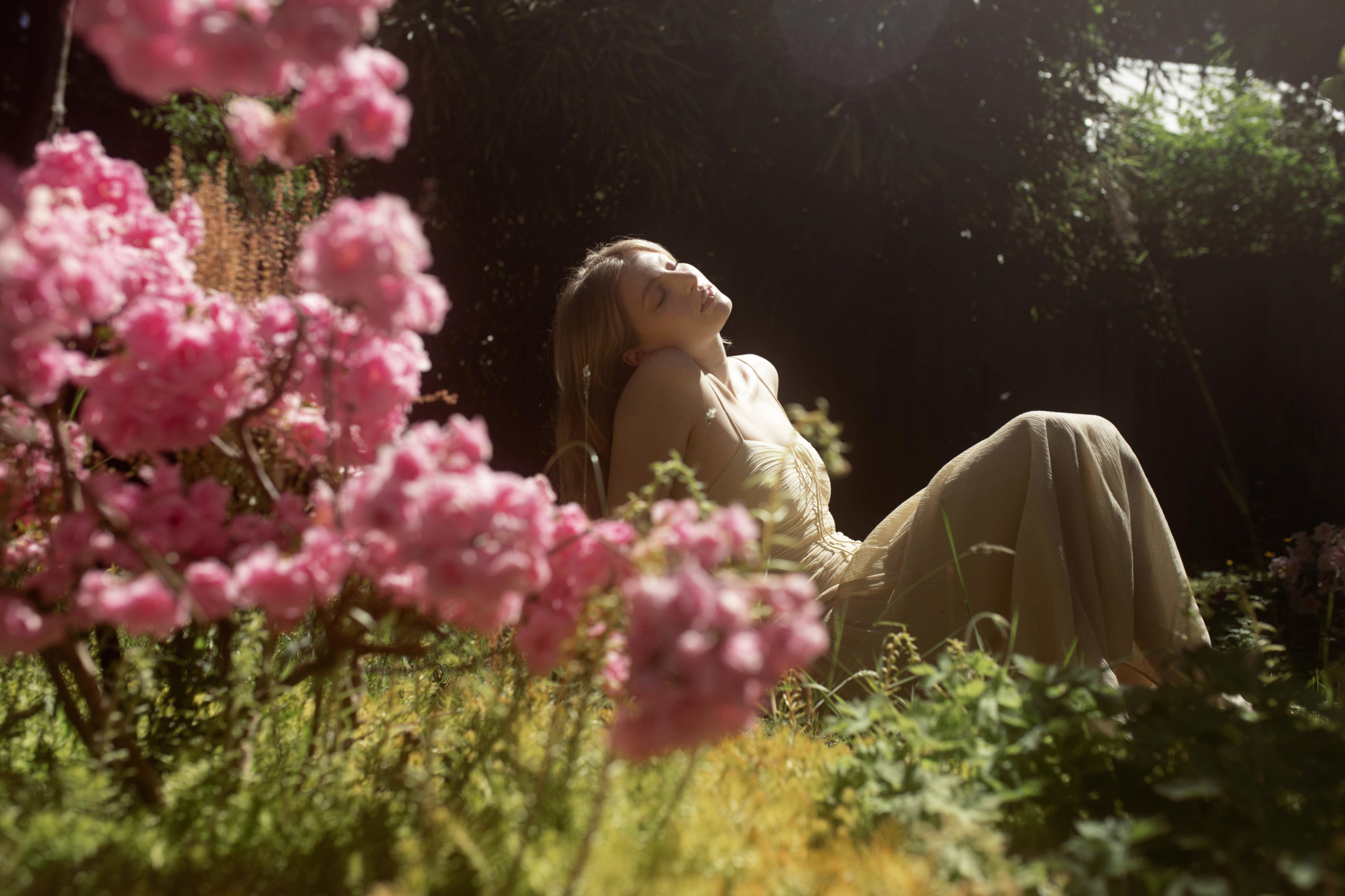 Elysia Biro - Verletzlich, poetisch und intim 