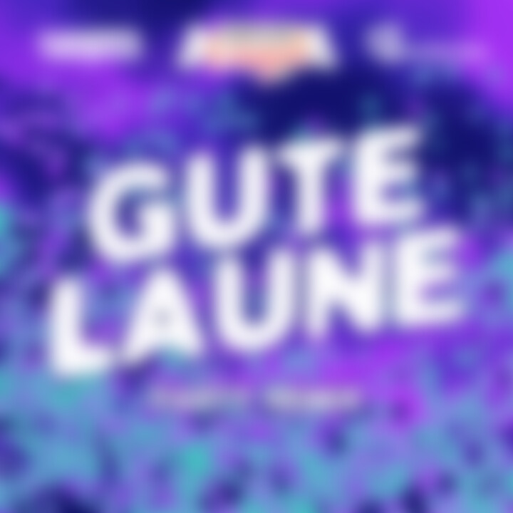 293_ELE_Gute_Laune_Remix_Cover.jpg