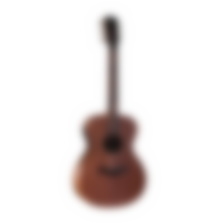 Jacob Collier Academy 22e 5-String