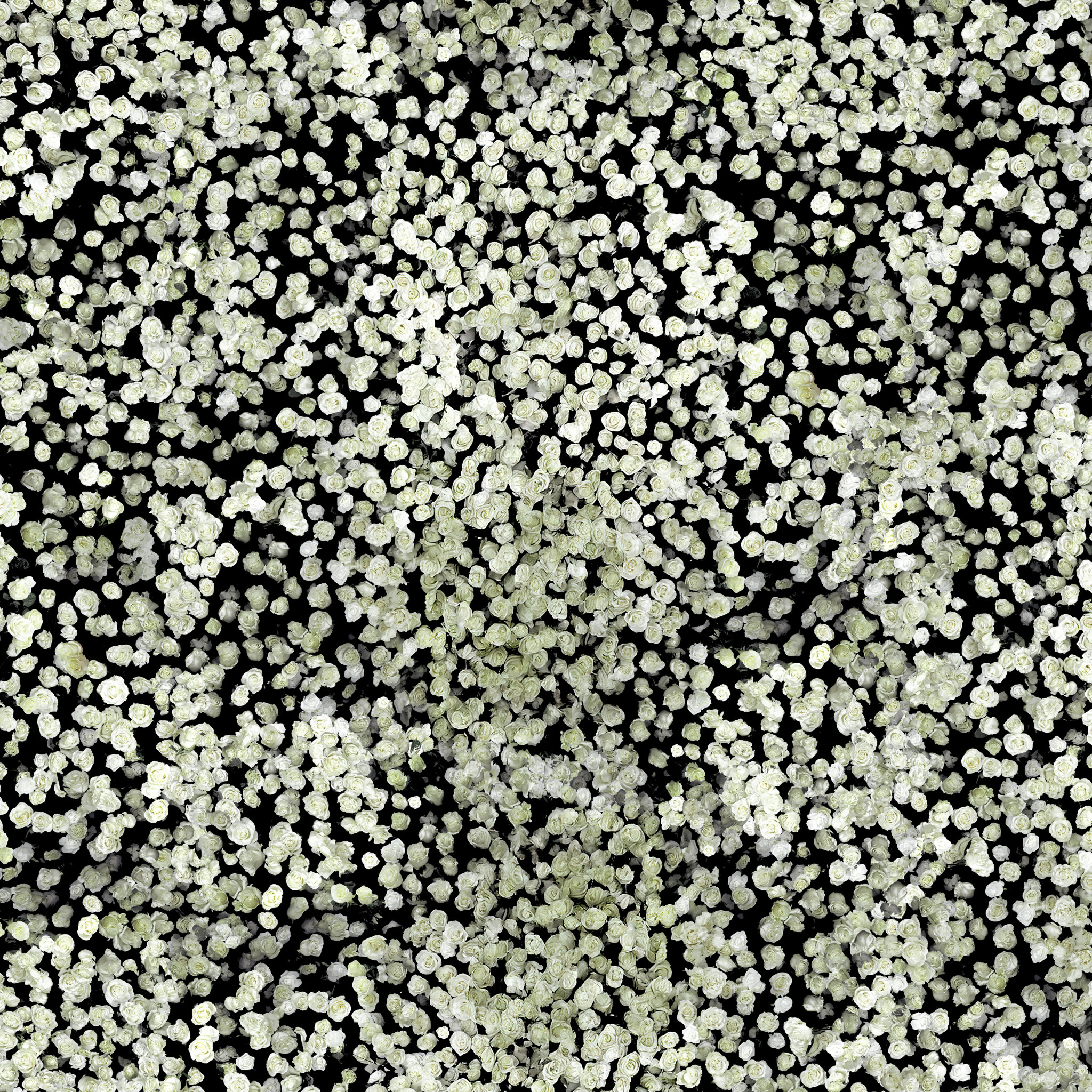 3000x3000-BG (1).jpg