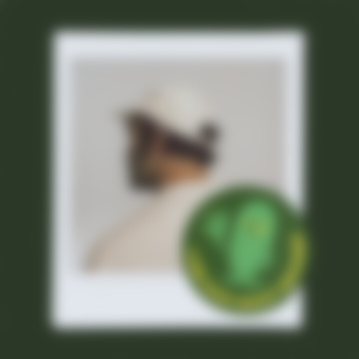 Lass dich nicht zwicken.jpg