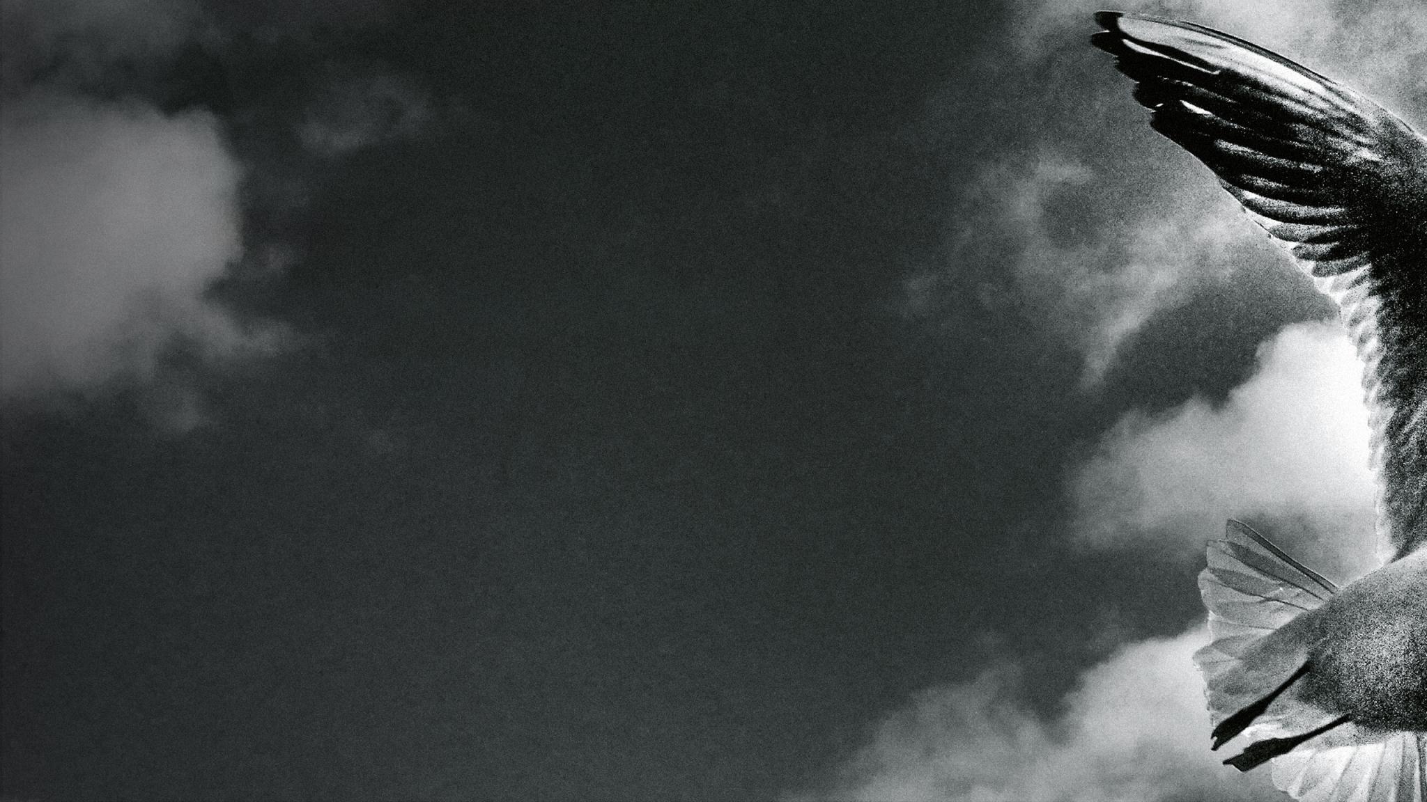 Heinz Hollinger and Marie-Lise Schüpbach