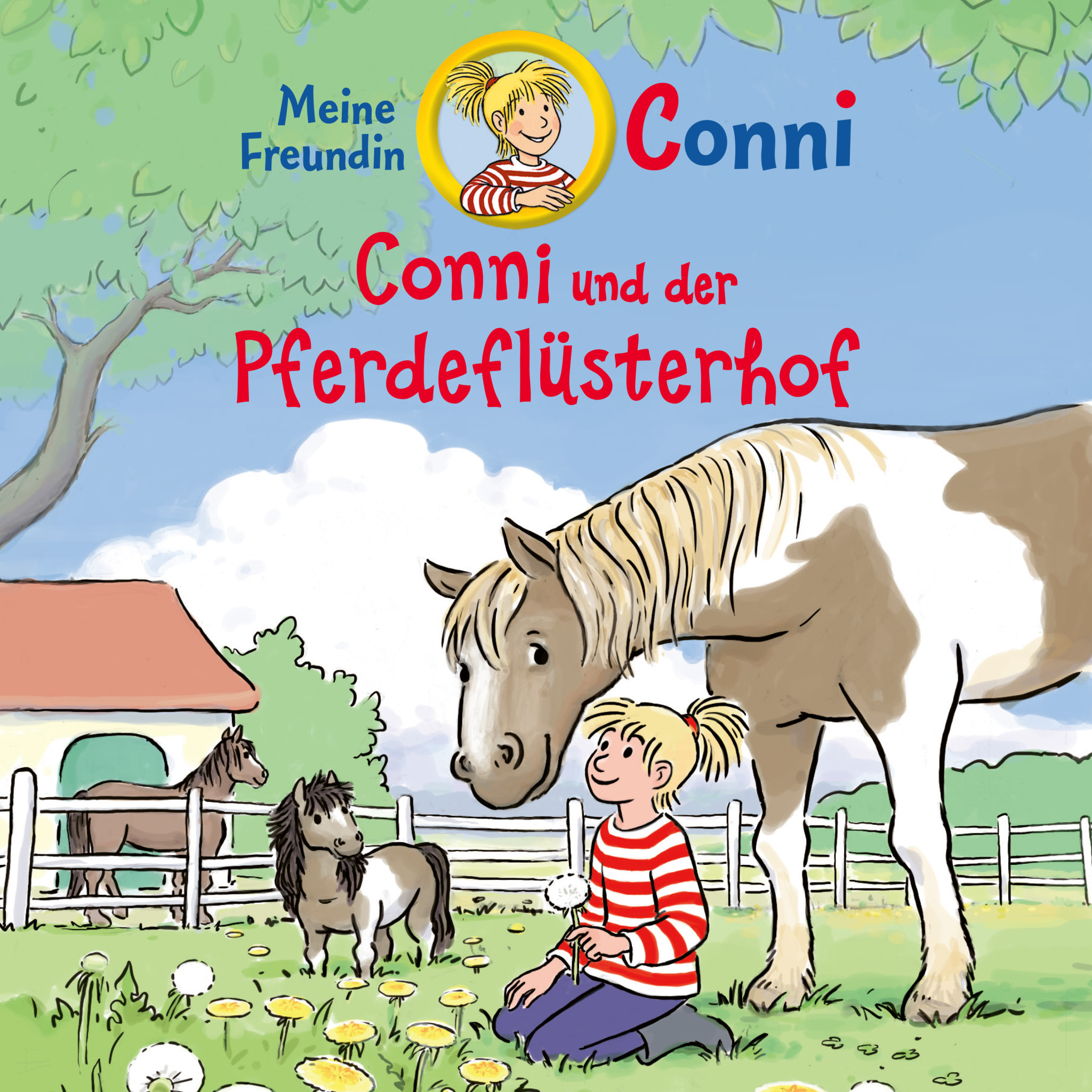 Conni und der Pferdeflüsterhof Cover.jpg