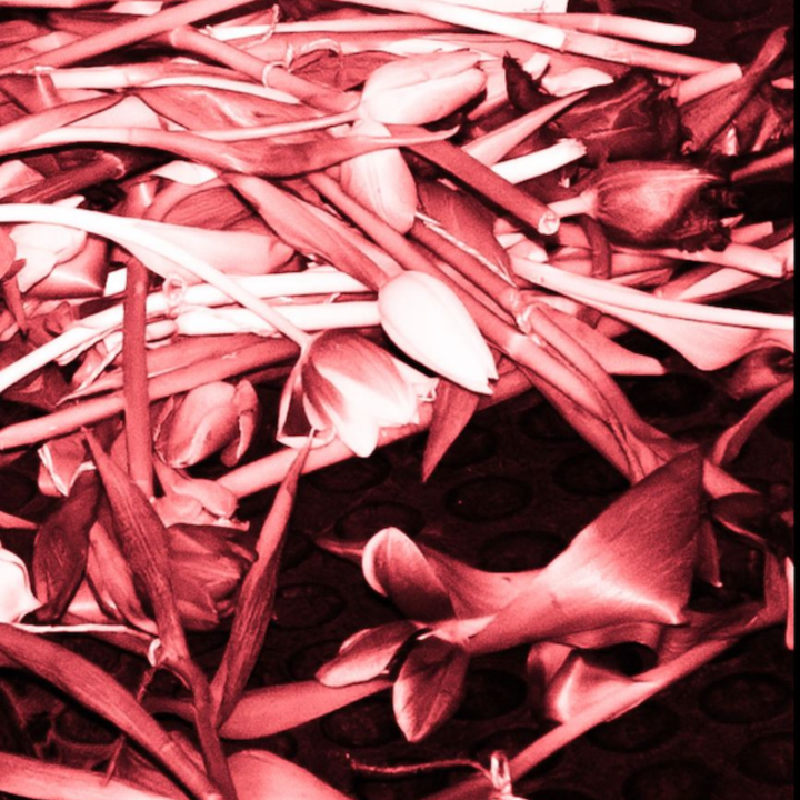 Cover_mich hat man(n) nicht lieb (1).png