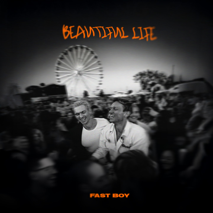 Artwork"Beautifullife"(2026)