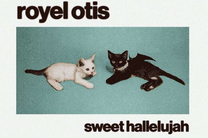 Royel Otis 