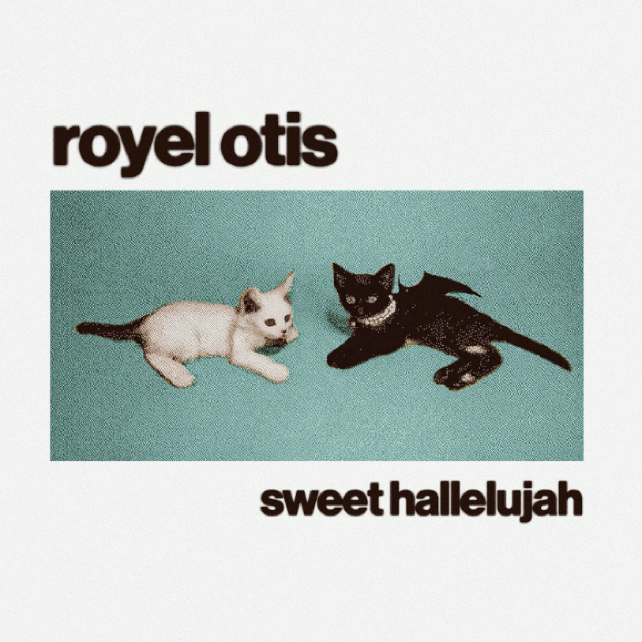 Royel Otis