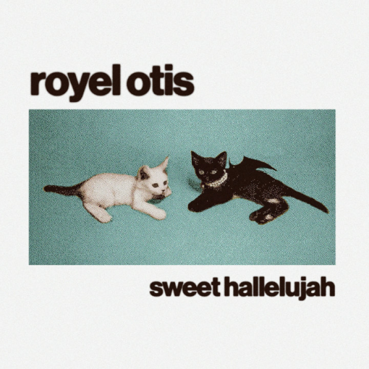 Royel Otis