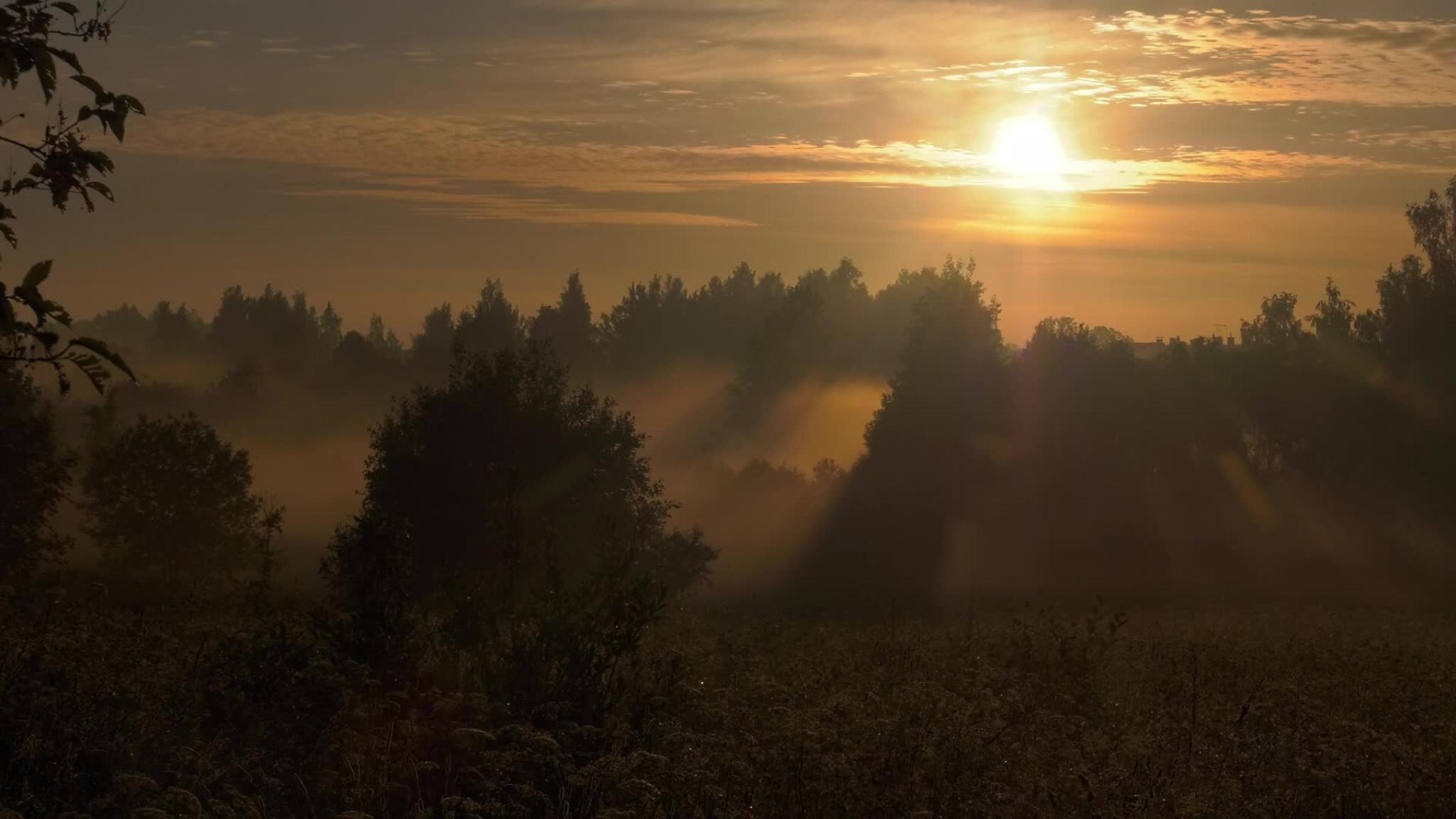 Peteris Vasks - Music for a Summer Evening