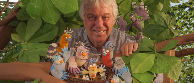 Rolfs Vogelhochzeit - Ein Vogel wird flügge