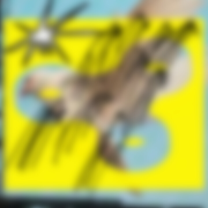 JOLLE_TIEF_COVER_3000px.jpg