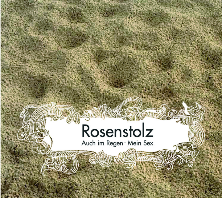 Rosenstolz, Cover, Auch im Regen, Remix