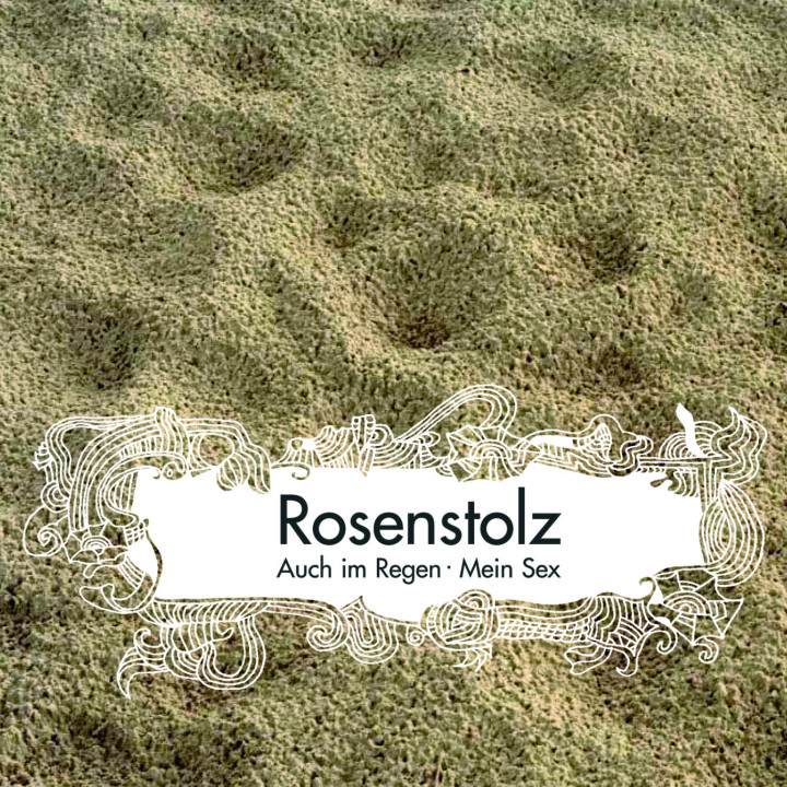 Rosenstolz, Cover, Auch im Regen, Remix