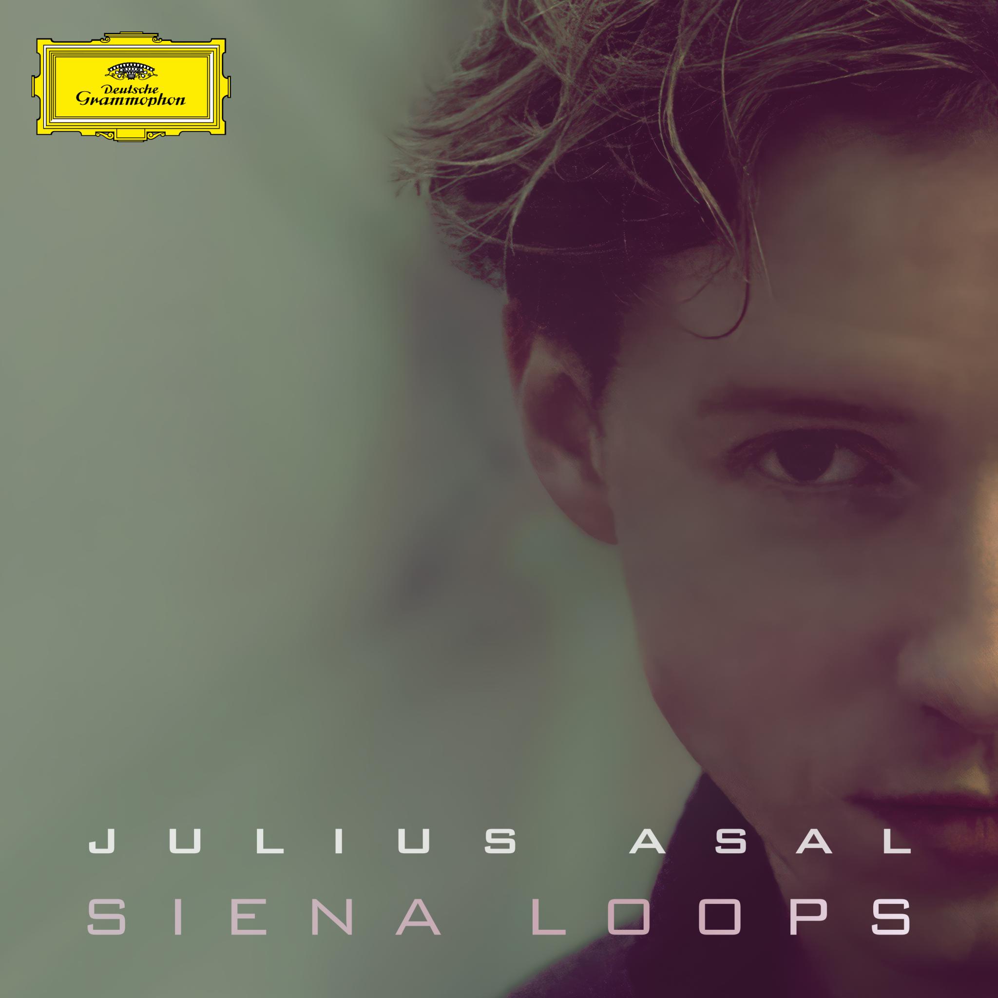 Julius Asal: Siena Loops