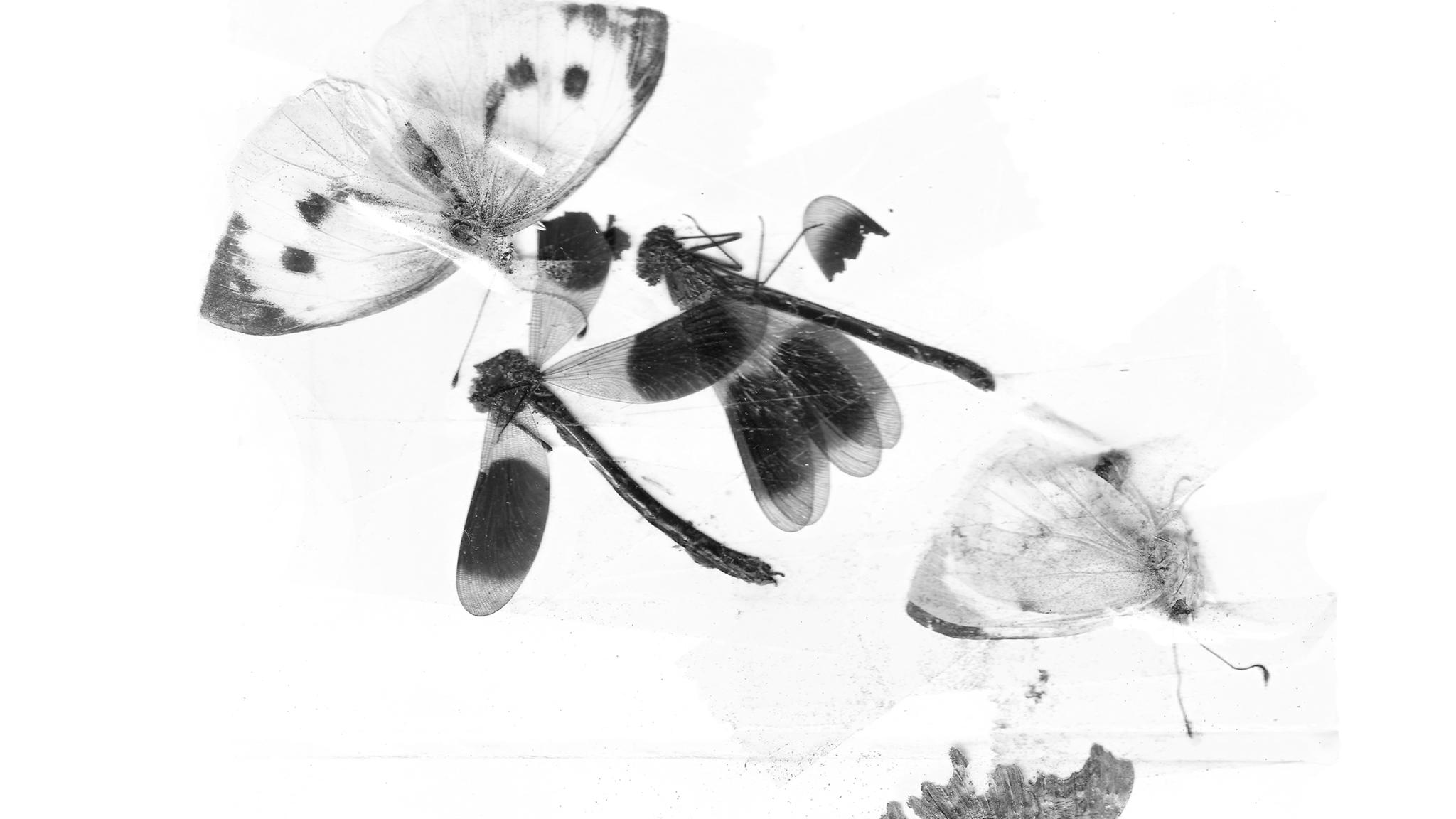 Roger Eno to release new EP,  Without Wind / Without Air: Rarities – out 26 June