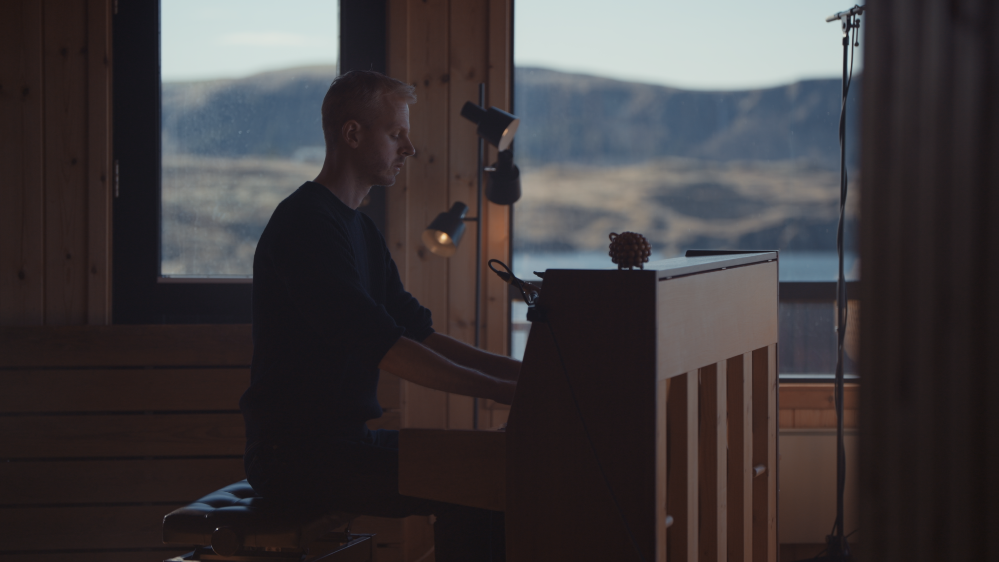 Snorri Hallgrímsson - The White Blur Was A Fox