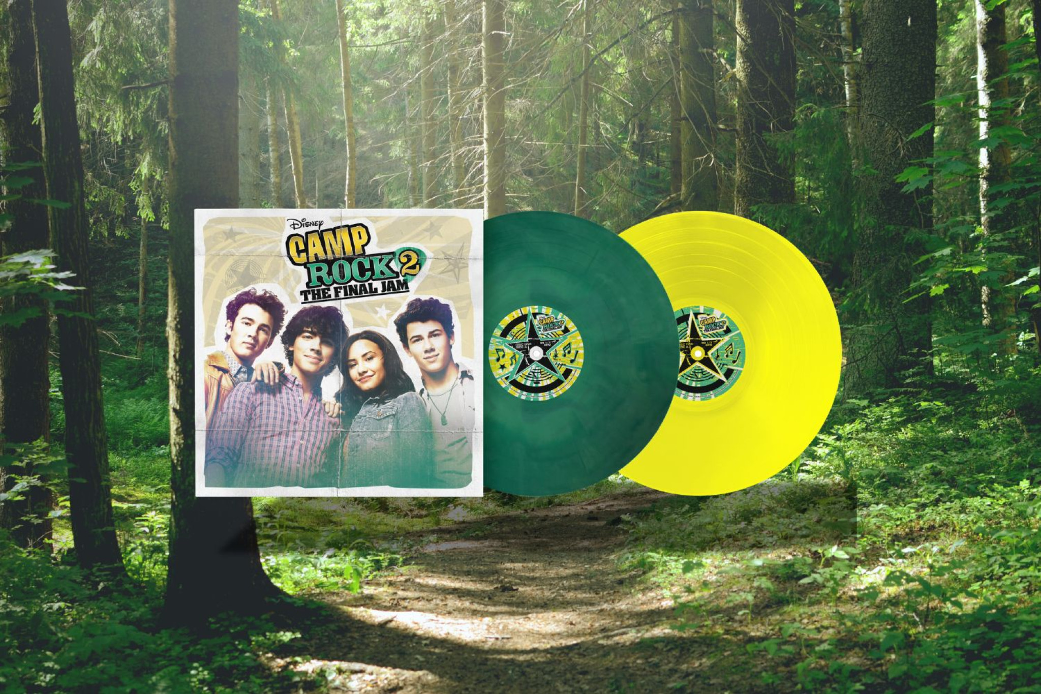 CampRockVinyl