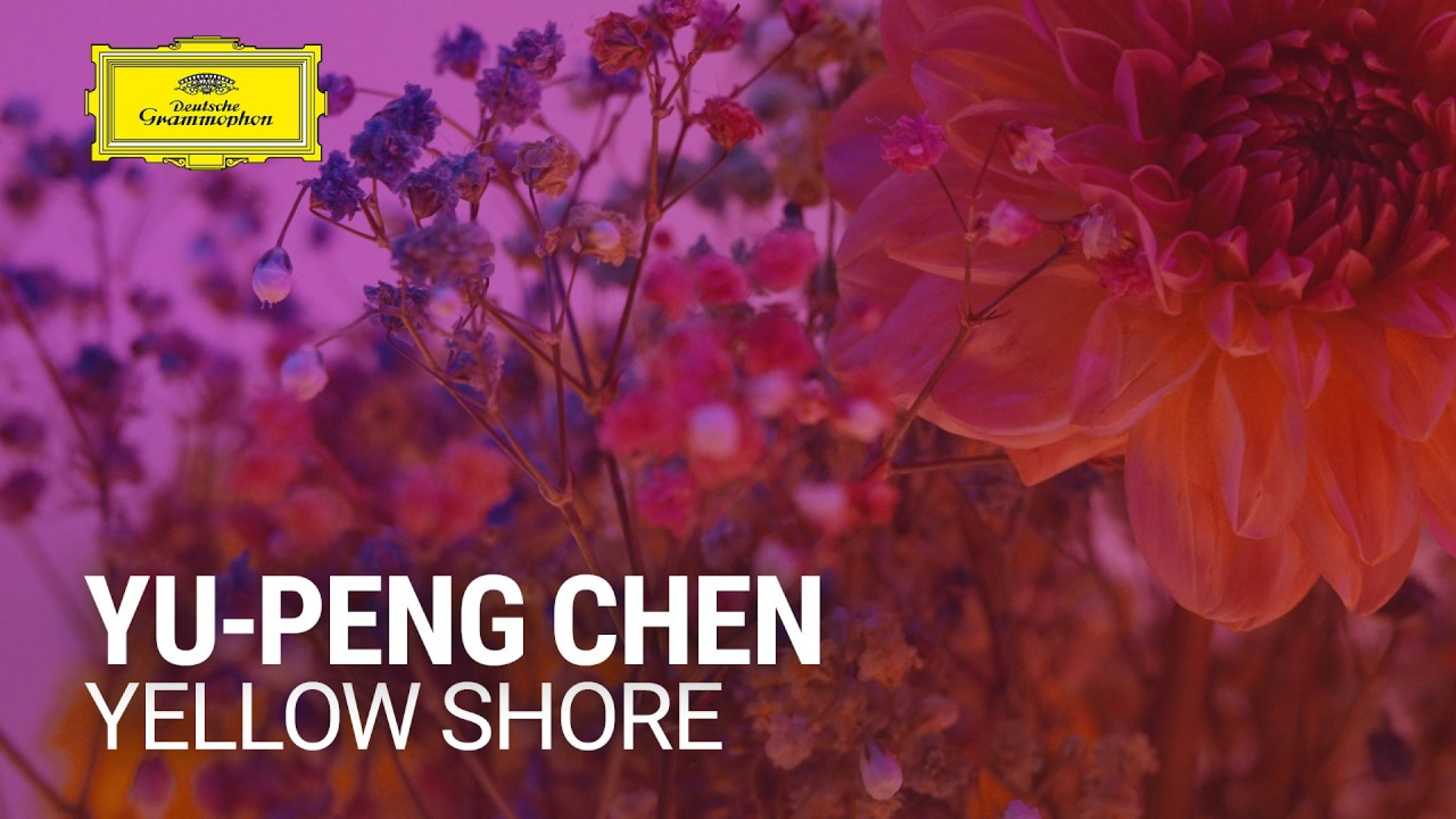 Yu-Peng Chen - Yellow Shore