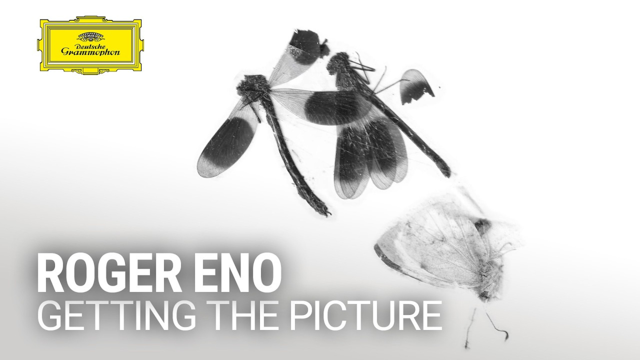 Roger Eno - Getting The Picture