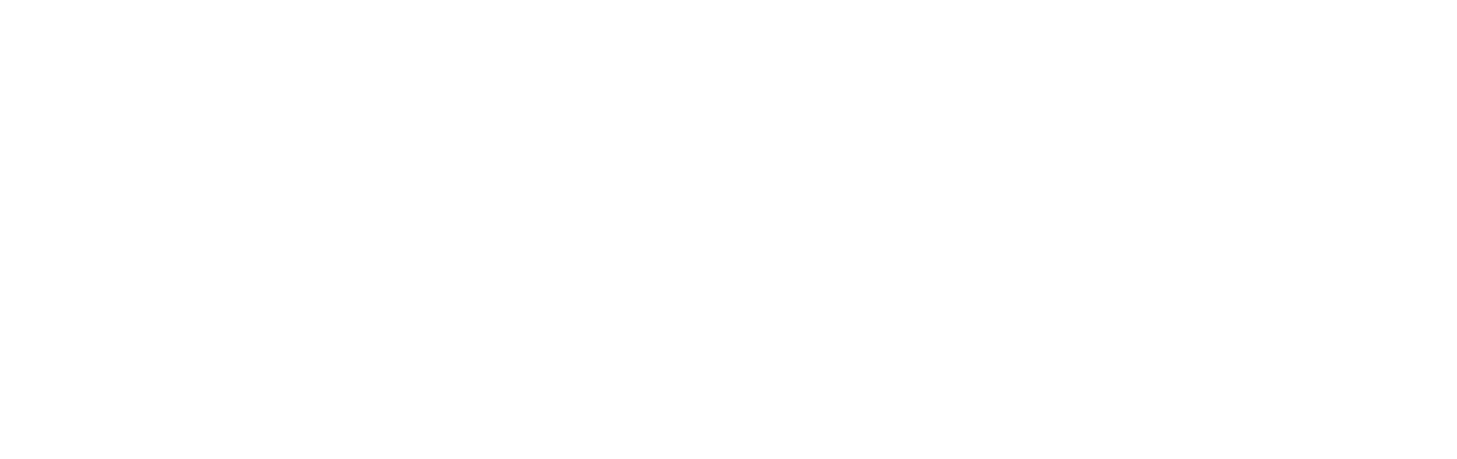 Paves 16