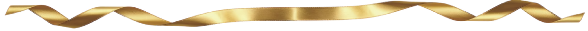 lang_lang_divider.png