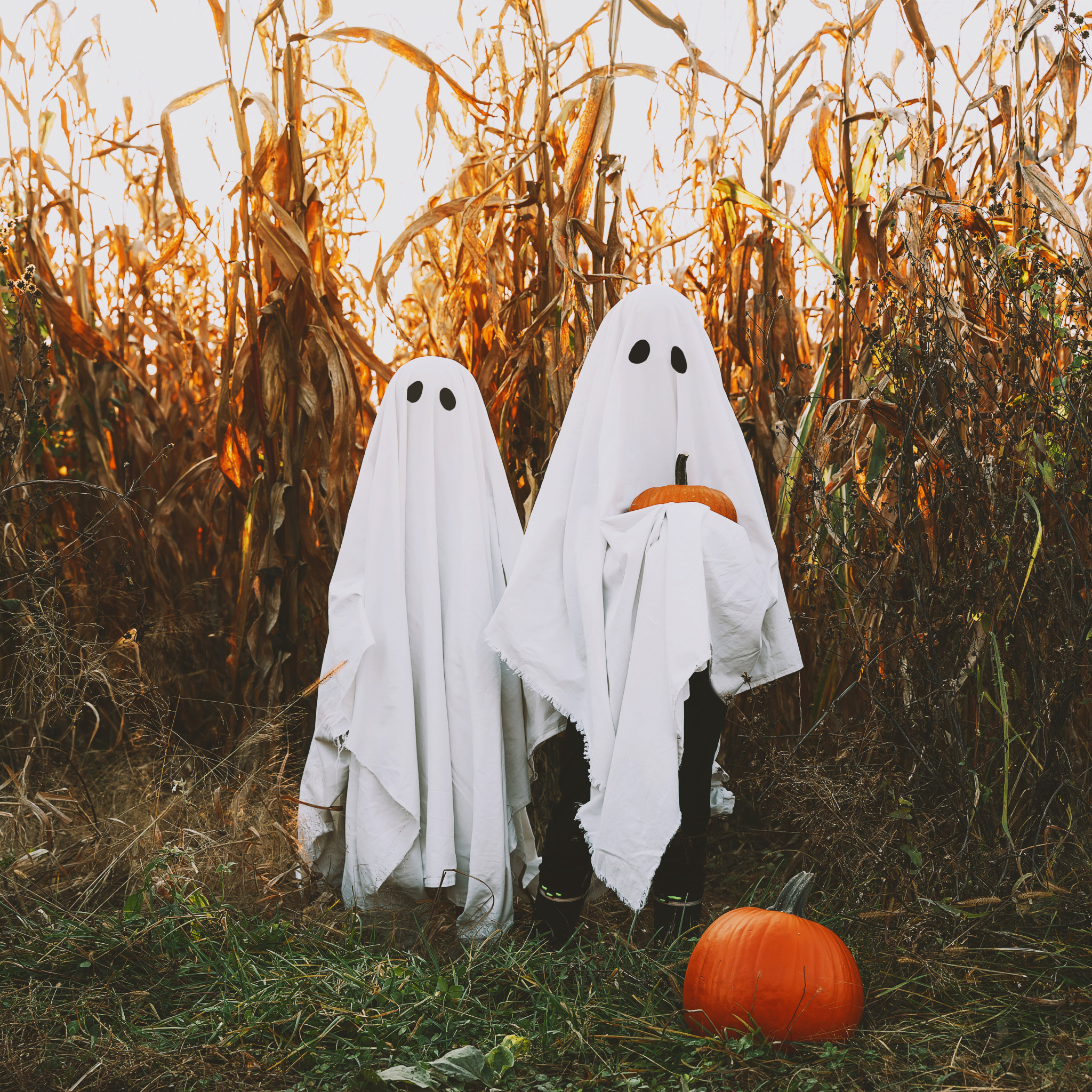 AdobeStock_539727592.jpeg