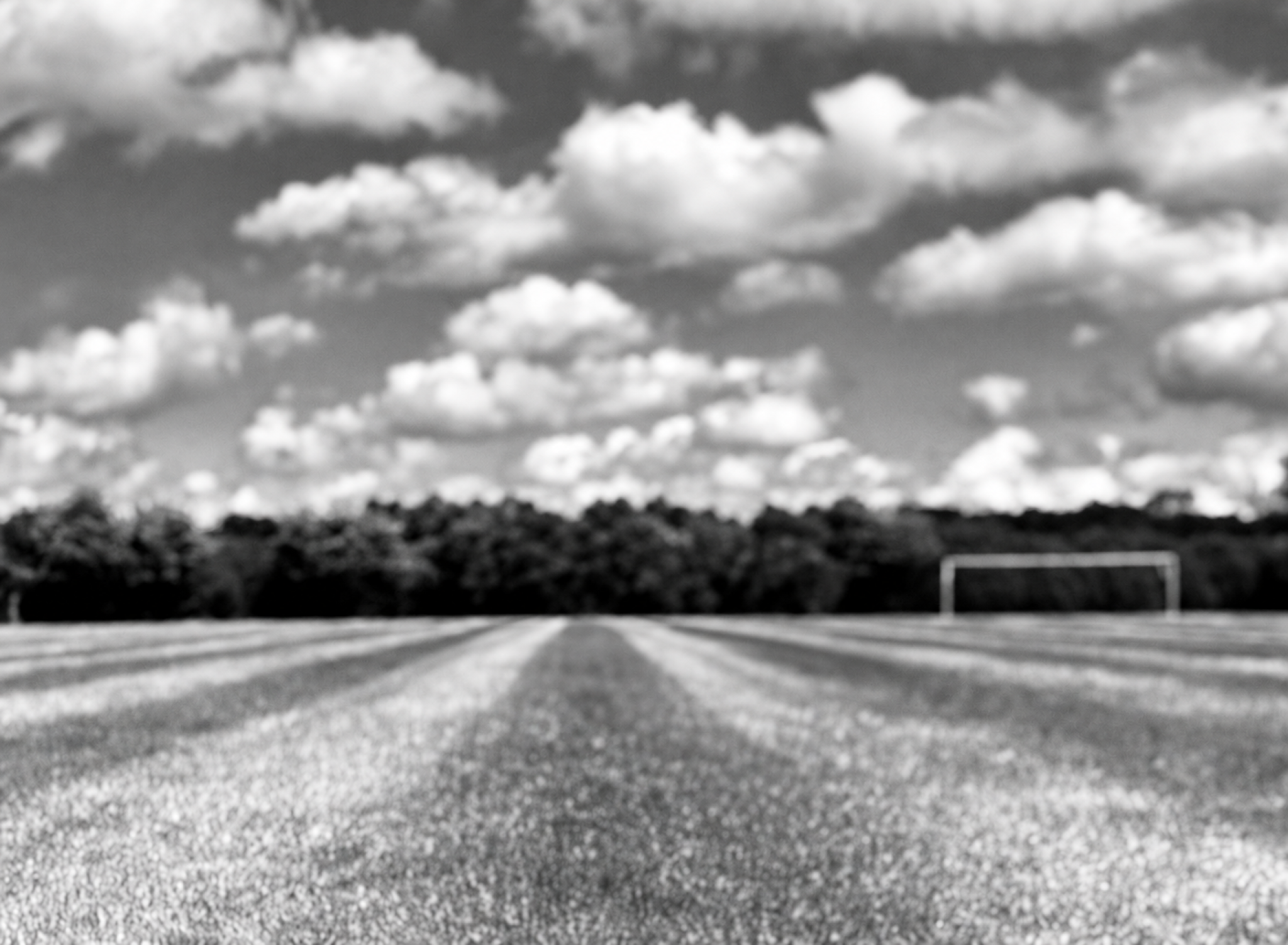 Wanda_WMUMMS_Album-Header.png