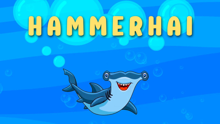 Hammerhai