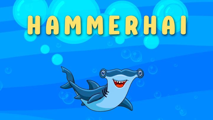 Hammerhai