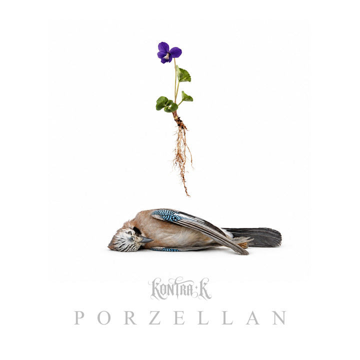 KontraK_Porzellan_Cover_3000px.jpg