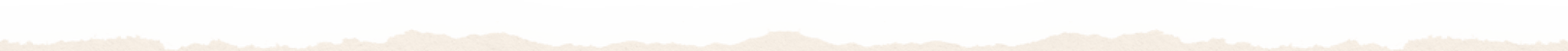 background-rm-top.jpg