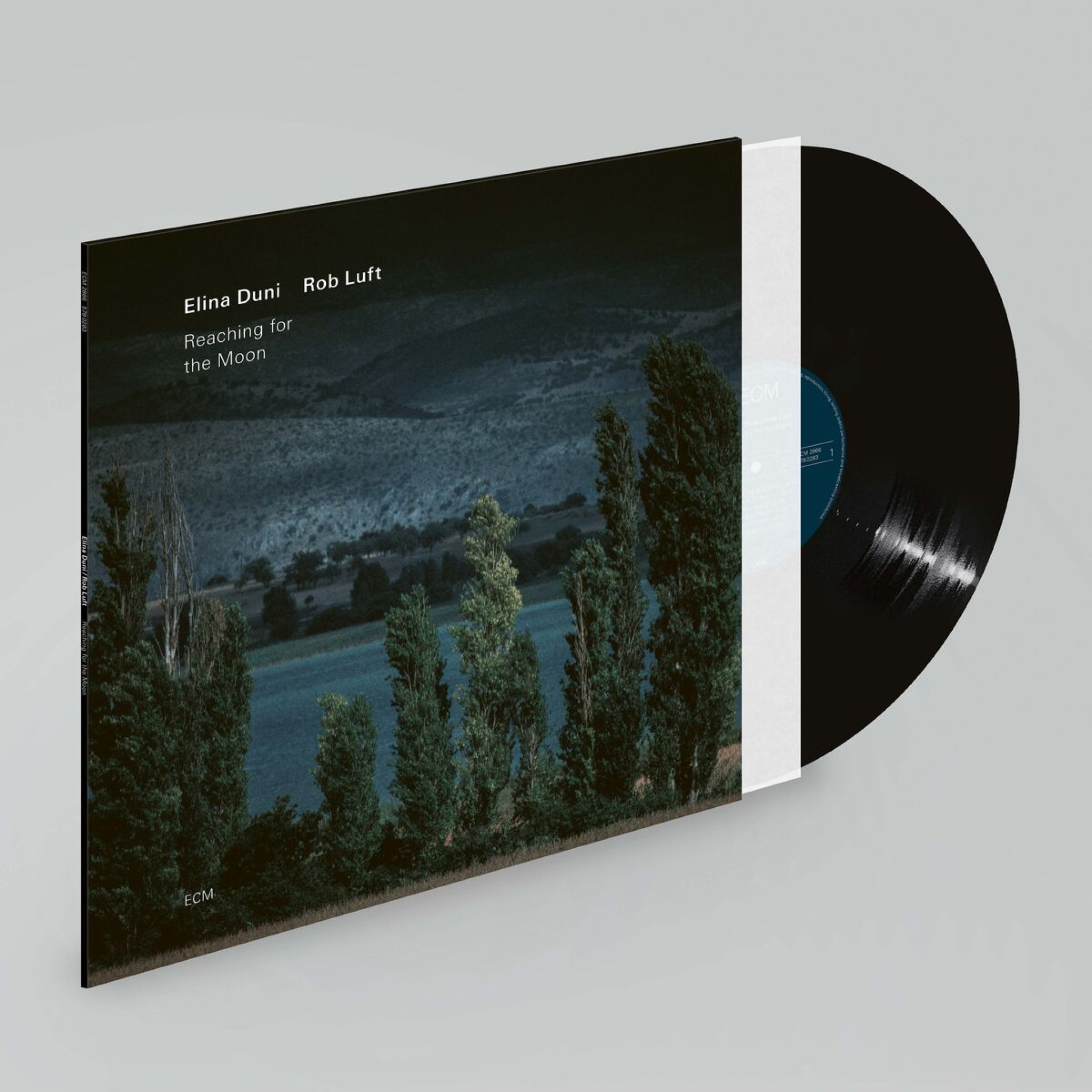 Reaching for the Moon (LP)