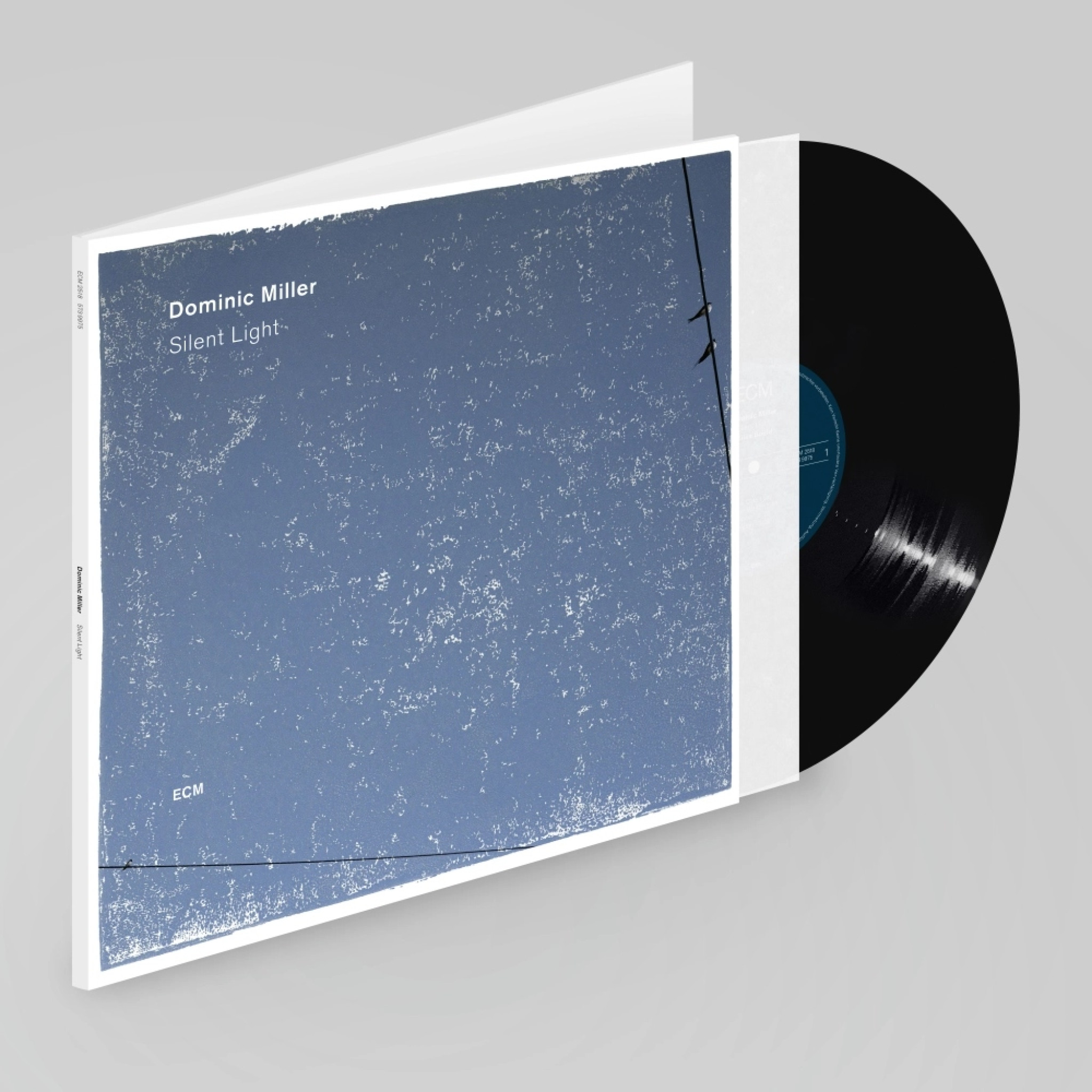 Silent Light (LP)