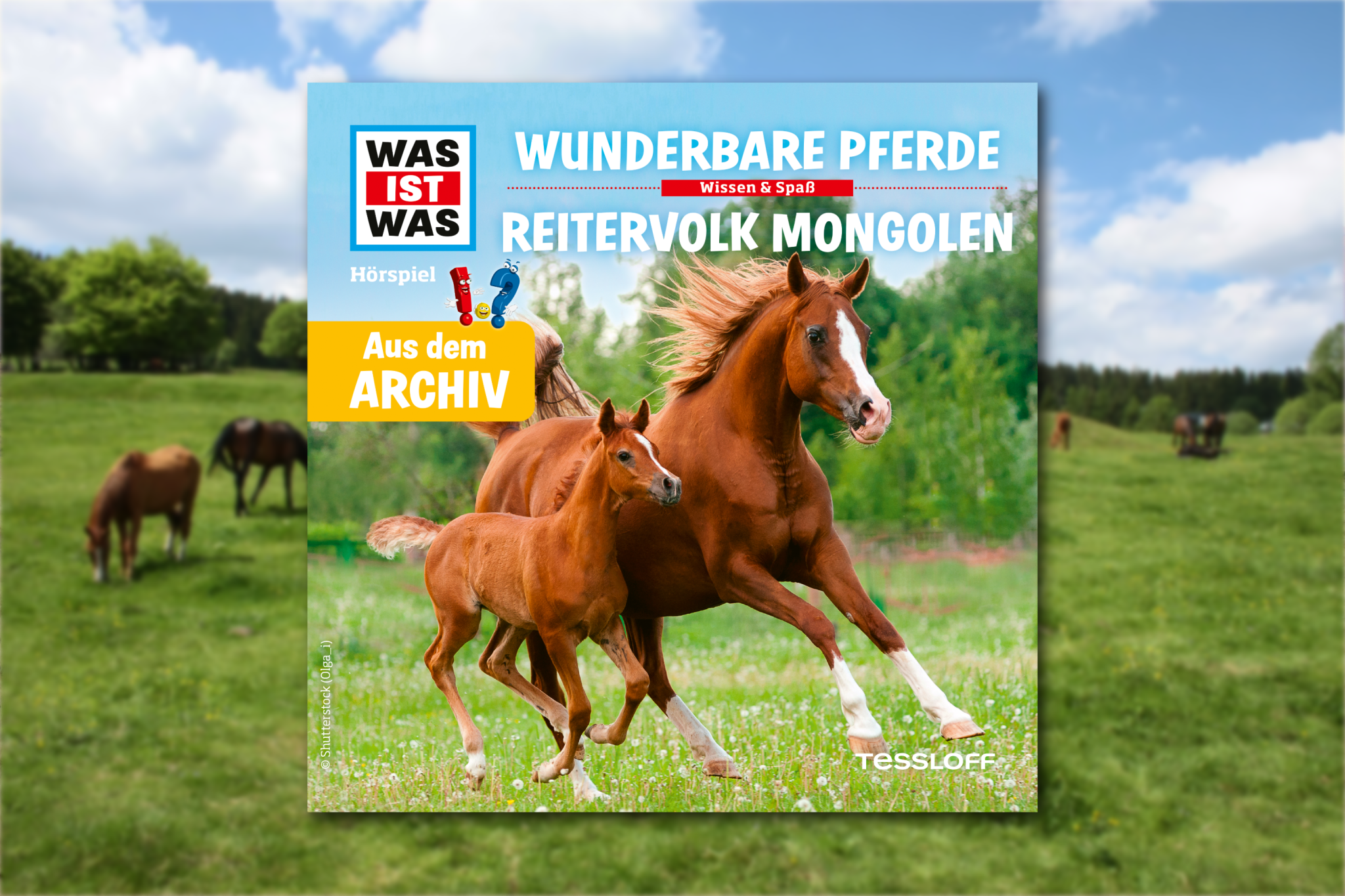 News Pferde Mongolen.png