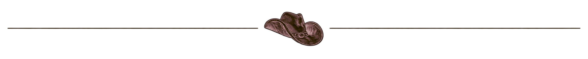 Cowboy-hat-trenner-darker.png