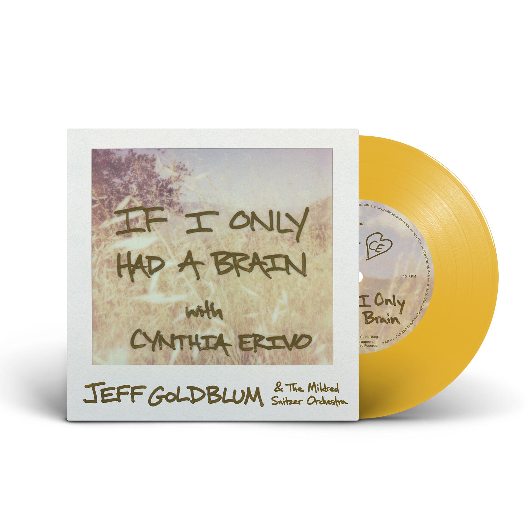 Jeff Goldblum + Cynthia Erivo "If I Only Had A Brain".jpg