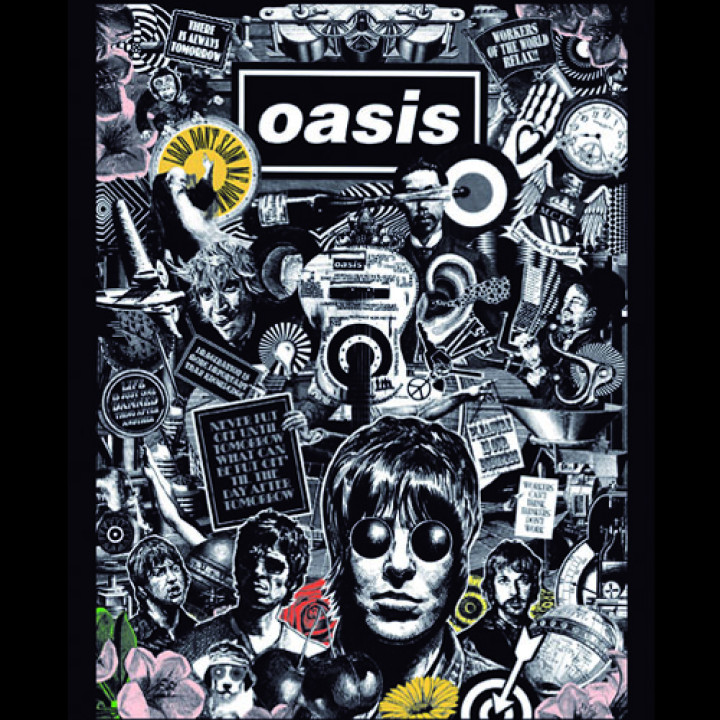 Oasis - Lord Don´t Slow Me Down DVD