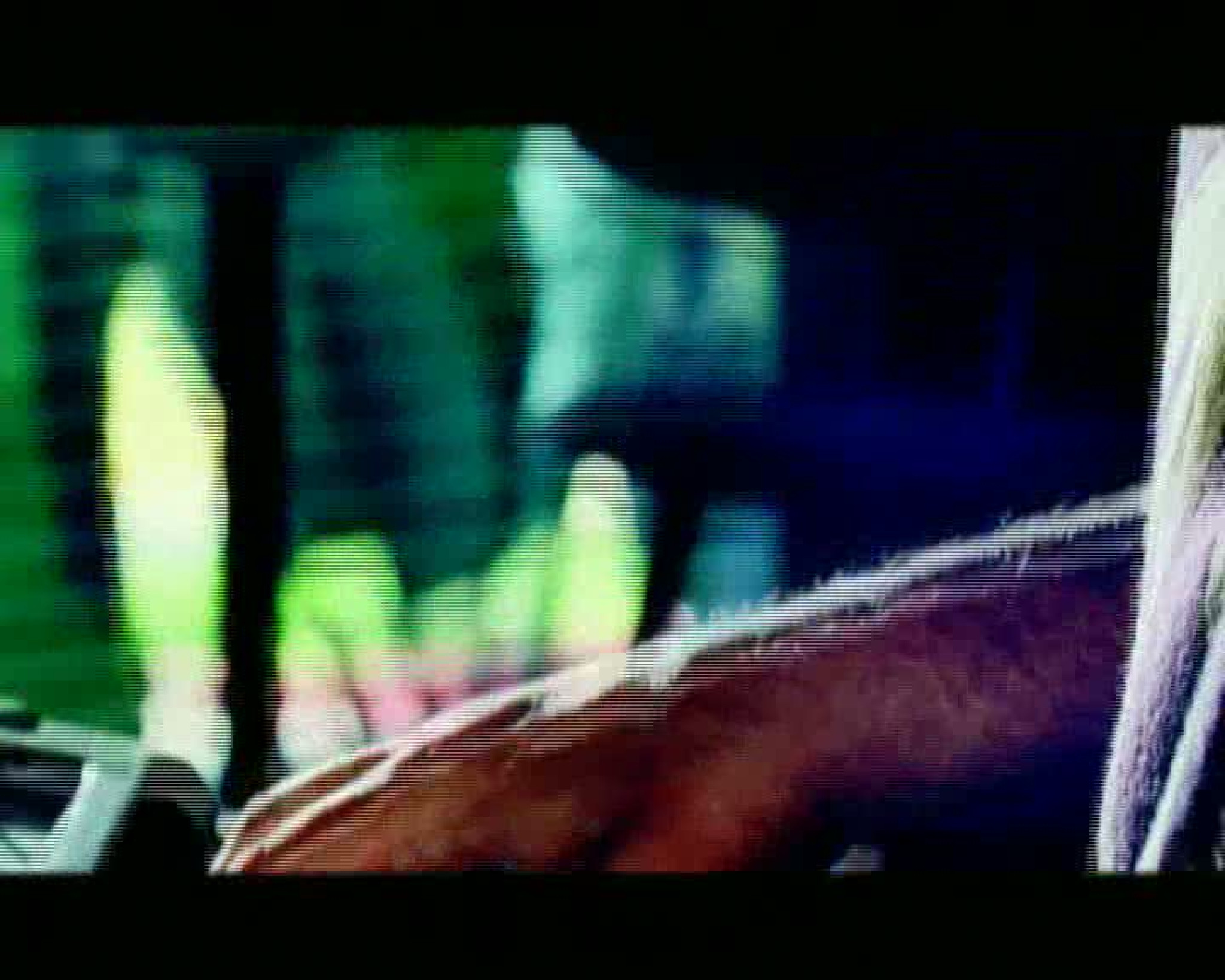 Encanto Albumdokumentation