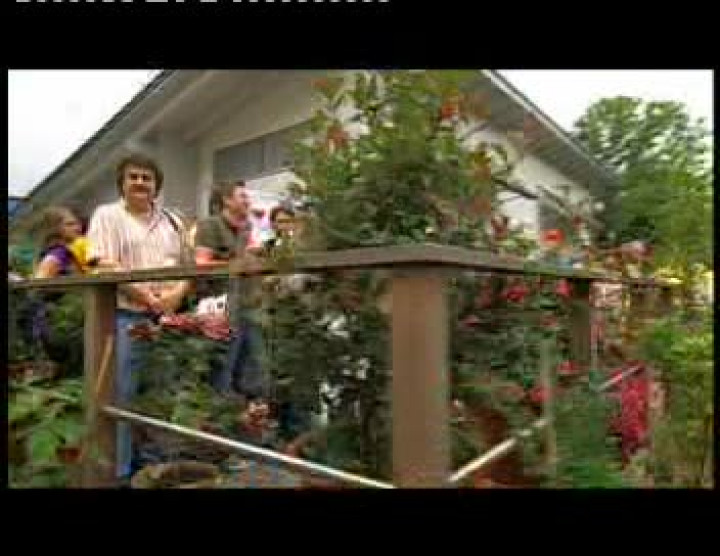 Amy Macdonald- ZDF Fernsehgarten