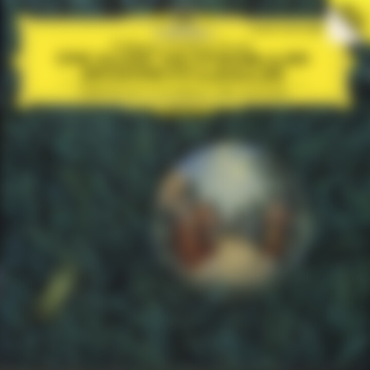Eine kleine Nachtmusik KV 525; Divertimento Es-dur KV 252(240a); Divertimento D-dur KV 131 0028941919227