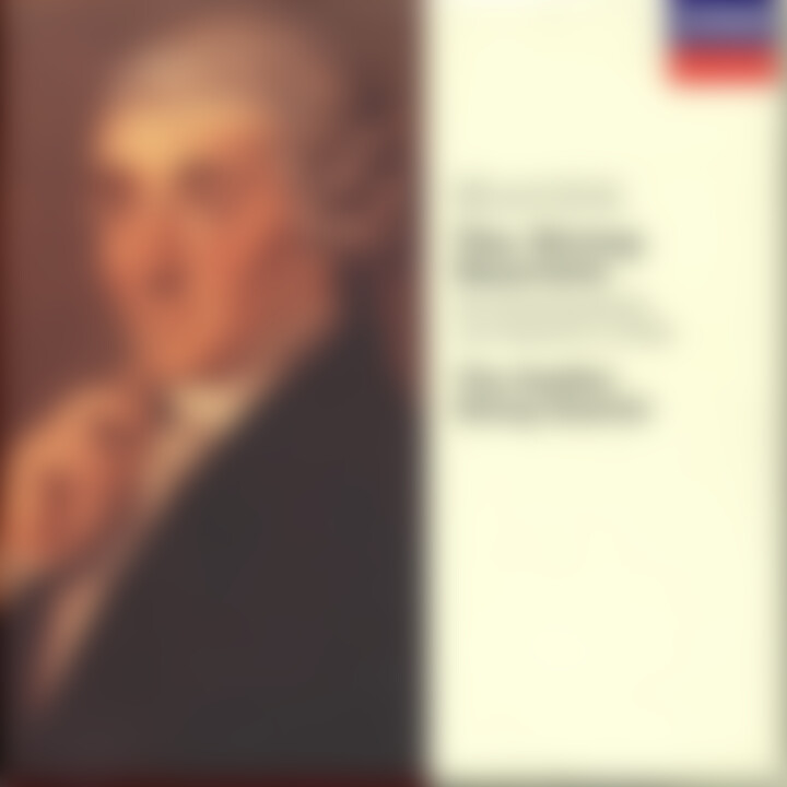 Haydn: The String Quartets 0028945526122