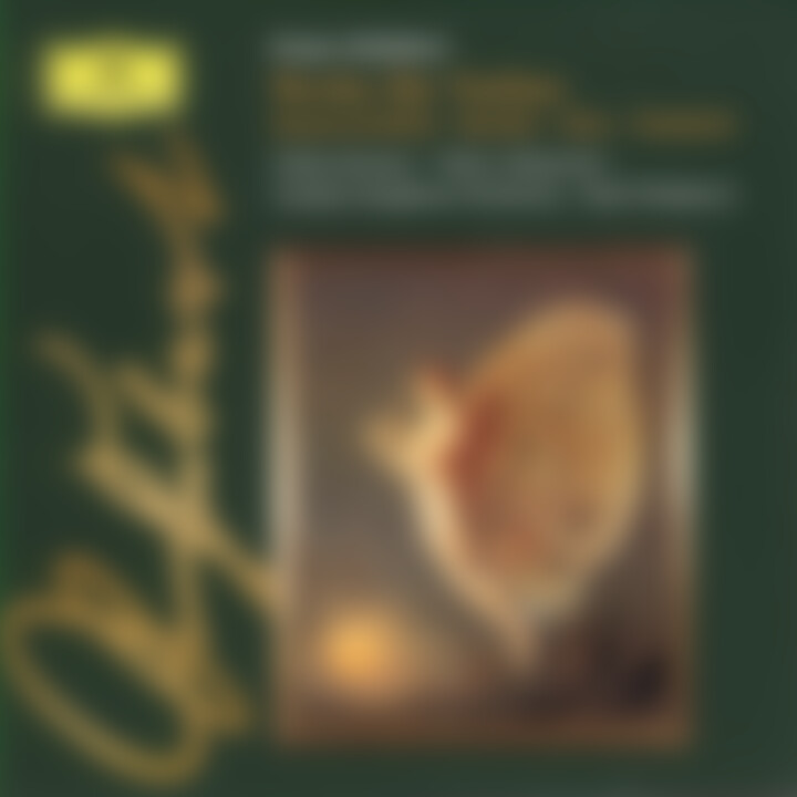 Konzertstück; Rondo; Duo; Fantasie 0028945366524
