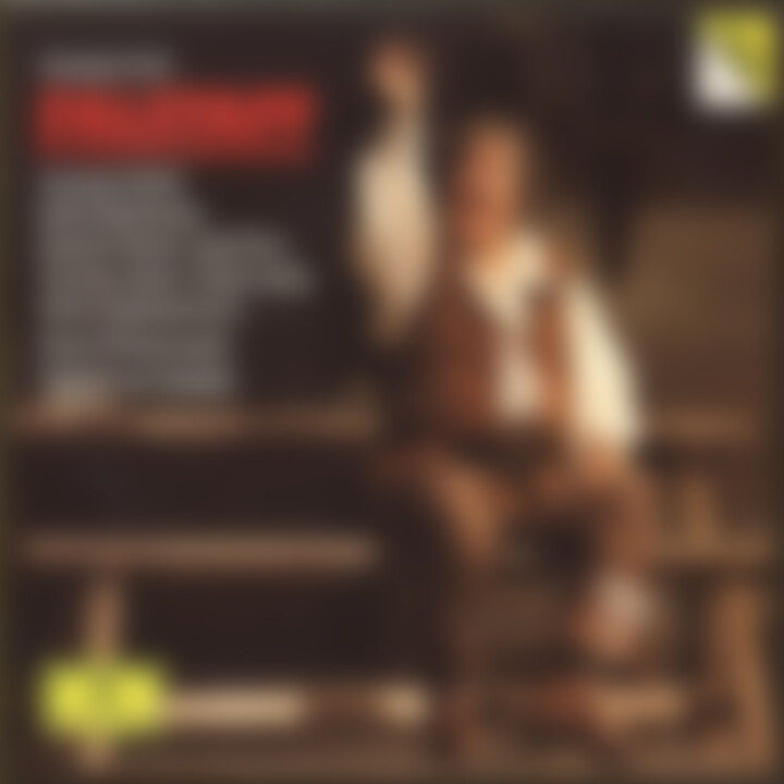 Verdi: Falstaff 0028944768620