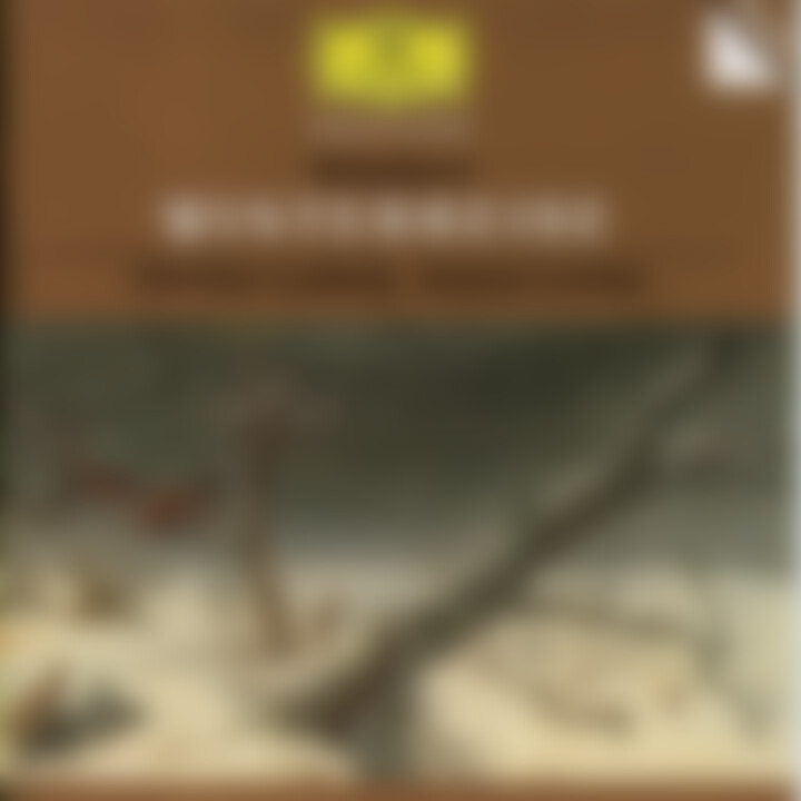 Winterreise 0028944552124